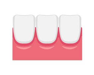 Vector illustration of healthy gums