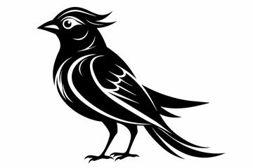 A beautiful phoebe bird silhouette black vector artwork illustration 