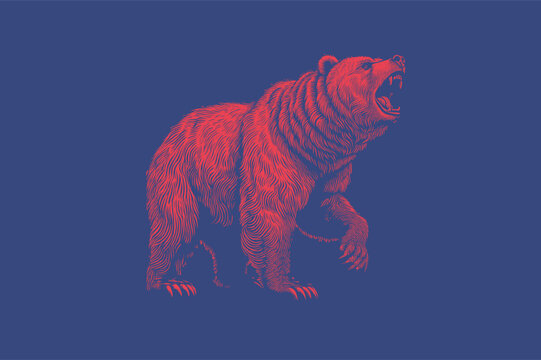 Monochrome engraved red stencil vintage drawing of a Bear walking with four legs and howling vector illustration isolated on deep blue background