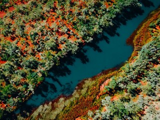 Aerial View of River Surrounded by Trees and Red Rocks Kimberley Western Australia Waterhole...