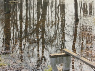 Flooded park in early spring
