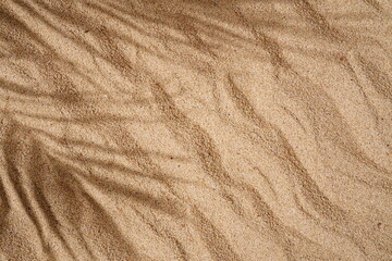 Summer Background Concept, Palm Leaf Shadows on the Sand