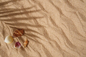 Summer Background Concept, Palm Leaf Shadows on the Sand