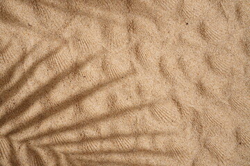 Summer Background Concept, Palm Leaf Shadows on the Sand