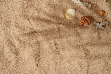 Summer Background Concept, Palm Leaf Shadows on the Sand
