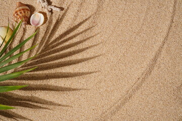 Summer Background Concept, Palm Leaf Shadows on the Sand