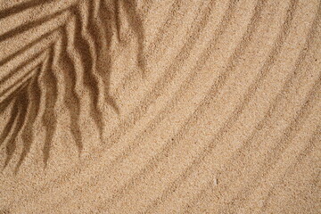 Summer Background Concept, Palm Leaf Shadows on the Sand