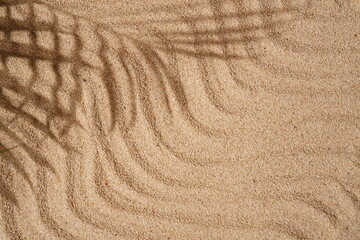Summer Background Concept, Palm Leaf Shadows on the Sand