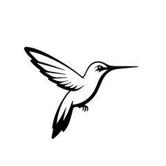 Hummingbird vector design illustration