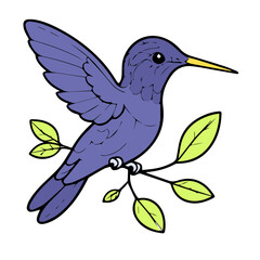 Hummingbird vector design illustration