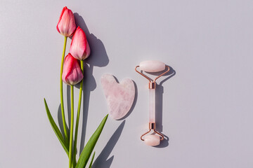 Top view of roller pink quartz massager and gua sha on Gray background with live tulips. A copy...