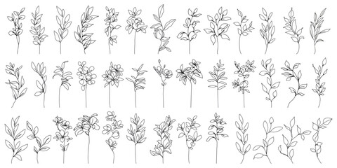 Fototapeta premium Flowers with Leaves Line Art Vector Illustrations Set for Prints, Social Media, Icons. Floral Trendy Templates Minimal Style. Set of Leaves Branches Linear Style. Hand Drawn Doodle Template Collection