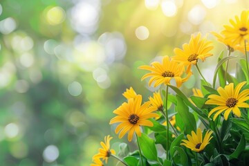 Nature view of yellow flower on blurred greenery background in garden with copy space using as background natural flower landscape, ecology, fresh wallpaper - generative ai