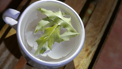 Tea infusion time: tea leaves in a big boiling cup (Maytenus ilicifolia). A hot tea mug, top view. Tea day. A hot beverage. A big mug of tea on the table.  