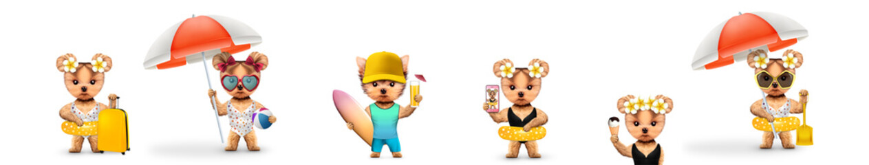 Obraz premium Funny cute dogs in swimming suit and sunglasses holding umbrella and beach ball