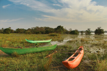 Three small canoe boats at the shore of a swamp in central Sri Lanka