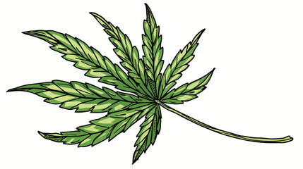 Marijuana plant with leaf. Realistic Hemp or Cannabis