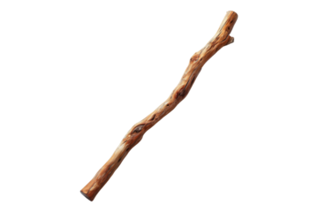 Cedar walking stick isolated on white back ground