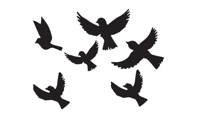 Flying Birds Vector And Illustration. 