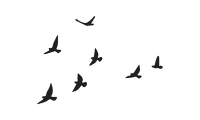 Flying Birds Vector And Illustration. 