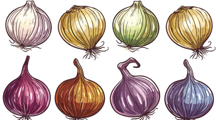 Natural organic onion in colorful and outline 