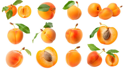Apricots, transparent picture