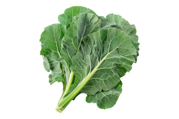 Collard greens isolated on white back ground