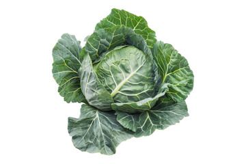 Collard greens isolated on white back ground