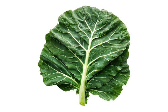 Collard greens isolated on white back ground