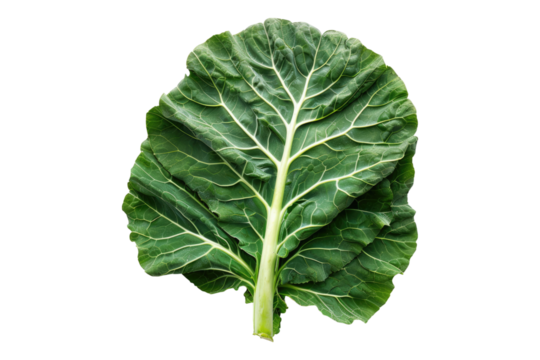 Collard greens isolated on white back ground