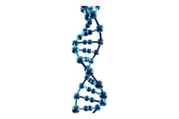 DNA strand isolated on white background