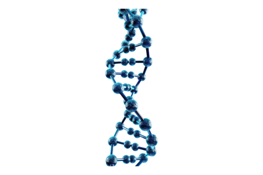 DNA strand isolated on white background