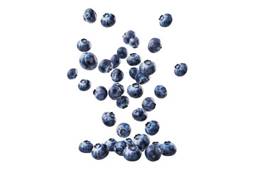 falling blueberries isolated on white background