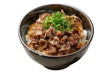 Gyudon showcase isolated on white background