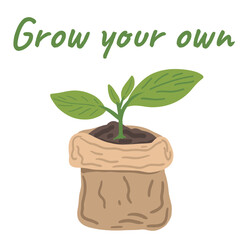 Grow your own flat design plant in a paper bag