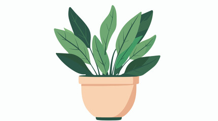 Potted house plant. Abstract green foliage houseplant