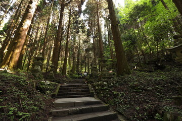Obraz premium 上色見熊野座神社