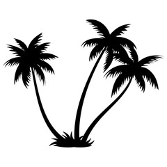 Obraz premium Palm trees silhouettes tropical summer. Palm tree icon.