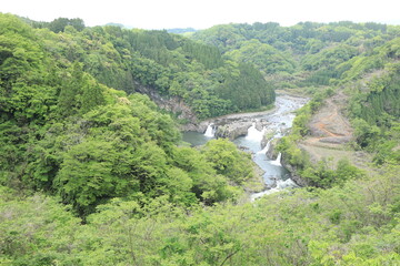 蝙蝠の滝