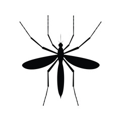 Mosquito. The silhouette of a mosquito. A blood-sucking insect. Mosquito top view. Vector illustration isolated on a white background