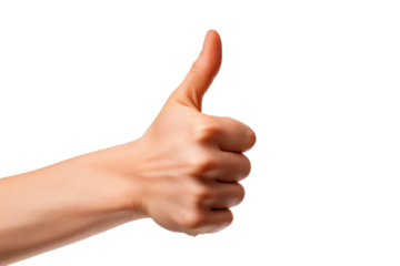 Serenade of the Snail on a White or Clear Surface PNG Transparent Background.