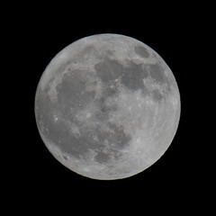 Obraz premium full moon