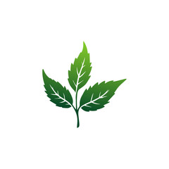 Green leaf ecology nature element vector icon, Leaf Icon, green leaf ecology nature element vector