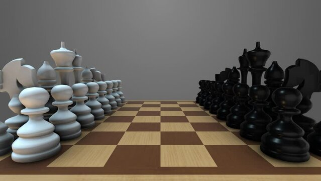 Two Rows Of Chess Pieces