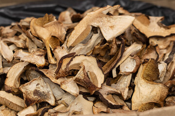 dry porcini mushrooms as a background.