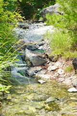 旅行で草津へ。西河原温泉をお散歩。