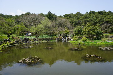 It is a picture of a forest and a small lake. The view over there is beautiful.