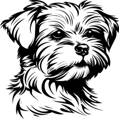 Maltese dog silhouette icon in black color. Vector template design.