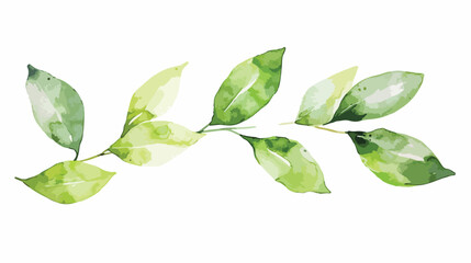 Watercolor green leaves separate hand painted leaf 