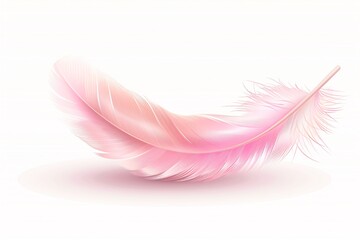 a pink feather on a white background